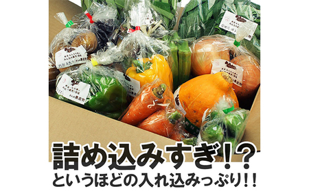 【定期便全12回】連続12ヶ月お届け！岩沼みんなの家の「みんなの直売！野菜」セット詰め合わせ