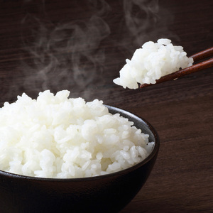 ≪令和7年産≫ 宮城県登米市産 ひとめぼれ 10kg 精米 お米 おこめ 米 コメ 白米 ご飯 ごはん おにぎり お弁当 ブランド米【有限会社伊豆沼農産】tm405