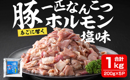 豚一匹なんこつホルモン 塩味 1kg(200g×5パック) 約5～7人分 国産 豚肉 肉 お肉 軟骨 ナンコツ 味付き ホルモン おつまみ 冷凍 小分け おまかせ お楽しみ 【株式会社佐利】tm373