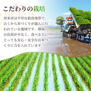 ≪令和7年産≫【8回定期便】ひとめぼれ 計40kg (5kg×8回配送) 登米市産 お米 おこめ 米 コメ 白米 ご飯 ごはん おにぎり お弁当 8か月 頒布会【登米ライスサービス株式会社】tm482