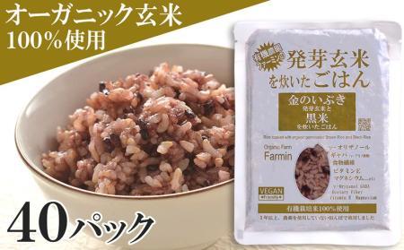 4年　宮城県　金のいぶき　玄米　5kg 発芽玄米　食物繊維　ダイエット　健康