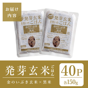 発芽玄米パックご飯 40パック 金のいぶき発芽玄米 黒米 無農薬 発芽玄米 レンジ 有機栽培 パックライス ご飯 米 レンチン 【有機農園ファーミン株式会社】tm117