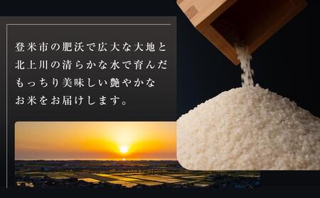 令和5年産【定期便／全6回】宮城県登米市産ひとめぼれ精米 ５kg×２個