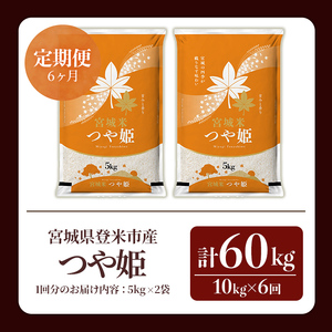 ≪令和7年産≫【6回定期便】つや姫 計60kg (10kg×6回配送) 登米市産 お米 おこめ 米 コメ 白米 ご飯 ごはん おにぎり お弁当 6か月 頒布会【登米ライスサービス株式会社】tm459
