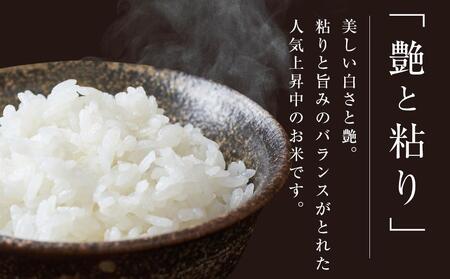 【令和5年産】米 つや姫 宮城県 登米市産 10kg ( 5kg ×2袋 )