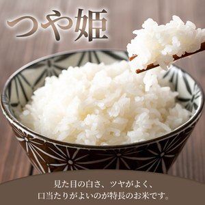 ≪令和7年産≫  つや姫 10kg (5kg×2袋)  登米市産 お米 おこめ 米 コメ 白米 ご飯 ごはん おにぎり お弁当 【登米ライスサービス株式会社】tm145