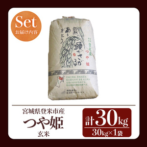 R6年度宮城県登米市産　環境保全米つや姫玄米30キロ 玄米】令和6年宮城県産つや姫(30kg×1) - 宮城のお米「楽らく館」