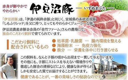 【宮城県産豚】豚丼の具 5袋入り( 110g × 5パック )