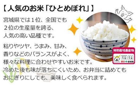 新米 特別栽培米 ひとめぼれ 玄米 30kg 宮城県登米市産【令和5年度産】 農薬・化学肥料節減米 宮城県認証 うるち米 30キロ | 宮城県登米市  | ふるさと納税サイト「ふるなび」