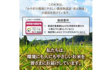 食品/飲料/酒お米 ひとめぼれ【令和3年産】精米済み 30キロ - 米/穀物