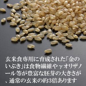 有機金のいぶき玄米と大麦を炊いたごはん 黒米入り 150g×10パック 大麦40％入り