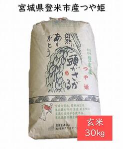 【定期便／全12回】宮城県登米市産つや姫玄米30kg