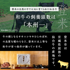 牛タン入りハンバーグ 計2kg(100g×20個) 牛たん 牛肉 ビーフ おかず お弁当 大容量 お肉 にく 食品 加工食品 小分け 個包装 冷凍【有限会社若寿司】tm021