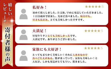 【リニューアル】たれ仕込み厚切り牛タン食べ比べセット 1kg （塩味・醤油味、各500ｇ×1）【 牛タン 宮城 人気牛タン おすすめ牛タン 登米 お取り寄せ グルメ 牛タン 牛肉 タン 牛タン 】