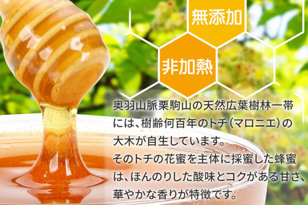 宮城・栗駒高原のトチの木（マロニエ）の純粋蜂蜜 1kg×1本