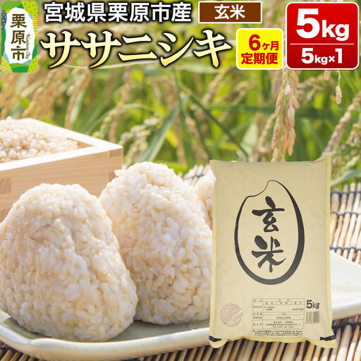 《定期便6ヶ月》【令和7年産・玄米】宮城県産 ササニシキ 毎月5kg (5kg×1袋)×6ヶ月