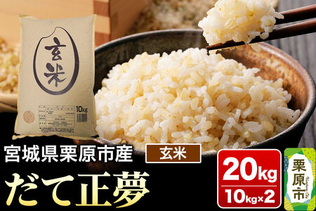 【令和7年産・玄米】宮城県栗原市産 だて正夢 20kg (10kg×2袋)