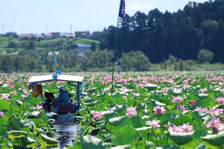栗駒山麓ジオガイドチケット コース5 豊穣の大地くりはら 平野にひろがる地形と文化を知る