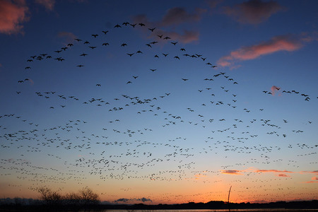 栗駒山麓ジオガイドチケット コース5 豊穣の大地くりはら 平野にひろがる地形と文化を知る