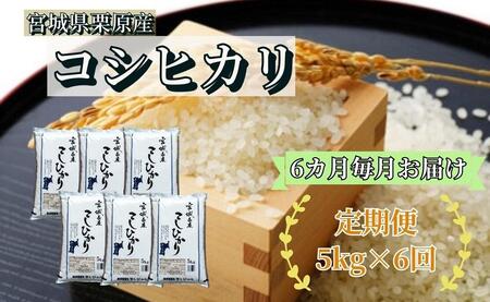 【6ヶ月定期便】宮城県栗原産 コシヒカリ 毎月5kg (5kg×1袋)×6ヶ月