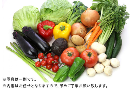 栗原産 お任せ野菜セット（12品～17品）