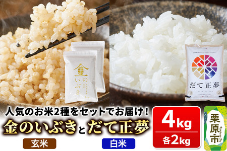 米【玄米】金のいぶき 1kg×2袋【白米】だて正夢 2kg×1袋(合計4kg)2品目 箱入り オリジナルセット
