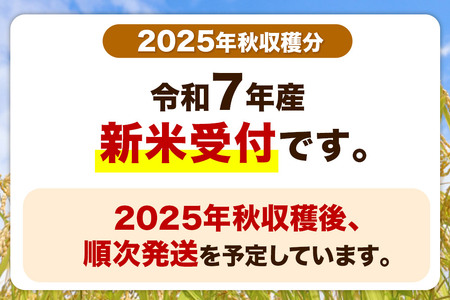 【新米受付】【ブランド米・食べ比べ】宮城県産 ひとめぼれ・つや姫・だて正夢 令和7年産 白米 2kg×3品種