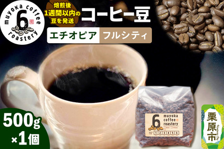 コーヒー豆 エチオピア フルシティ 500g×1個