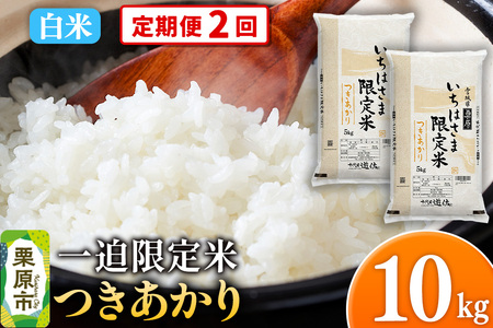 《定期便2回》【白米】令和7年産 一迫限定米 つきあかり 10kg（5kg×2袋）