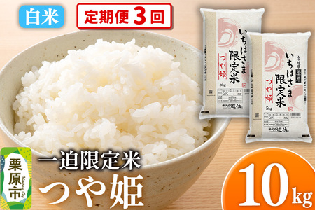 《定期便3回》【白米】令和7年産 一迫限定米 つや姫 10kg（5kg×2袋）