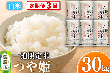 《定期便3回》【白米】令和7年産 一迫限定米 つや姫 30kg（5kg×6袋）