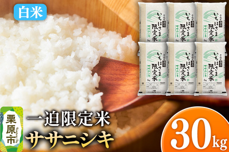 【白米】令和7年産 一迫限定米  ササニシキ 30kg（5kg×6袋）