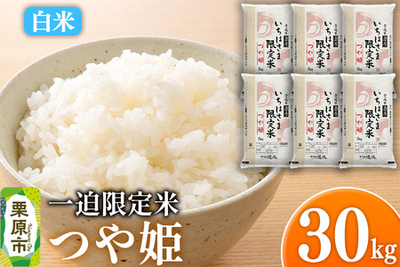 【白米】令和7年産 一迫限定米 つや姫 30kg（5kg×6袋）