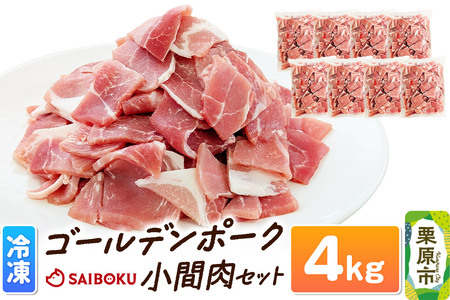 肉 豚 【冷凍】ゴールデンポーク 小間肉 4kg セット 257023U