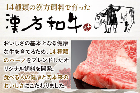 漢方和牛角切りビーフカレー 180g×5パック