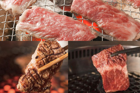 漢方和牛特選焼肉食べ比べセット 80g×6種 計480g 【肩ロース、ミスジ、カタサンカク、トンビ、三角バラ、ブリスケ】牛肉 焼き肉