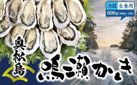 【2024年12月上旬から順次発送予定】鳴瀬かき 牡蠣 生食用 600g (300g × 2)【到着日指定必須！】 宮城県 奥松島産 牡蠣 かき カキ 生かき 生牡蠣 むき身 オンラインワンストップ 申請 対応 自治体マイページ 宮城県 東松島市