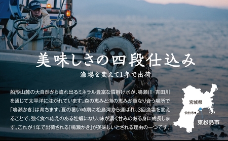 【2024年12月上旬から順次発送予定】鳴瀬かき 牡蠣 生食用 600g (300g × 2)【到着日指定必須！】 宮城県 奥松島産 牡蠣 かき カキ 生かき 生牡蠣 むき身 オンラインワンストップ 申請 対応 自治体マイページ 宮城県 東松島市