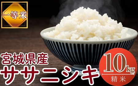 【令和7年産米受付開始!】 【新米】 宮城県産 ササニシキ(精米)10kg 米 ささにしき 東松島市 米 精米 白米 お米 こめ JAいしのまき