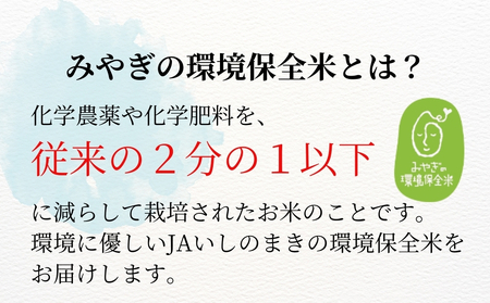 【令和7年産米受付開始!】 【新米】 宮城県産 ササニシキ(精米)10kg 米 ささにしき 東松島市 米 精米 白米 お米 こめ JAいしのまき
