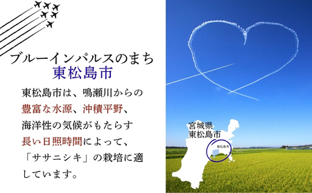 【令和7年産米受付開始!】 【新米】 宮城県産 ササニシキ(精米)10kg 米 ささにしき 東松島市 米 精米 白米 お米 こめ JAいしのまき