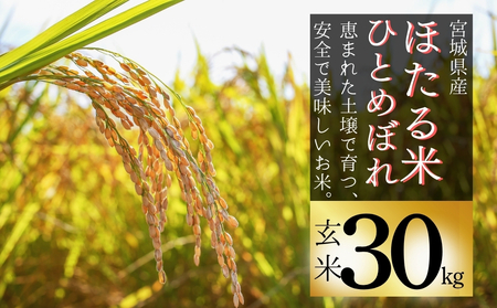 【令和7年産米】ほたる米 ひとめぼれ 玄米 30kg 特別栽培米 宮城県産 お米 ごはん 新米 米 朝ごはん こめ コメ オンラインワンストップ 対応 自治体マイページ 宮城県 みずほファーミング