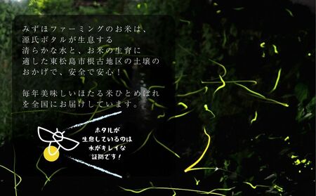 【令和7年産米】ほたる米 ひとめぼれ 玄米 30kg 特別栽培米 宮城県産 お米 ごはん 新米 米 朝ごはん こめ コメ オンラインワンストップ 対応 自治体マイページ 宮城県 みずほファーミング