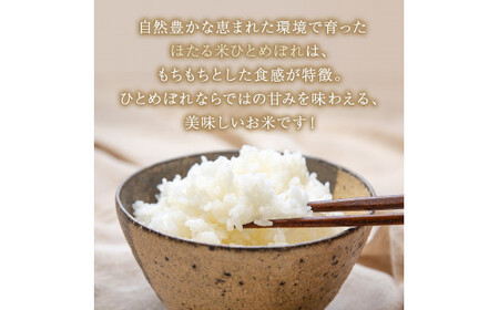 【予約受付開始】令和5年産　宮城県産　特別栽培米　ほたる米　ひとめぼれ　精米　10kg　　
