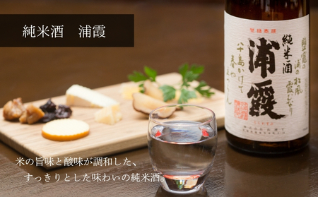 日本酒 浦霞飲み比べ 3本セット 宮城県 佐浦 四合瓶 720ml 純米辛口 純米酒 本仕込 贈答品 贈り物 ギフト プレゼント お歳暮 お中元 父の日 母の日