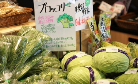 季節の野菜おまかせ詰め合わせセット　宮城県 東松島市 朝採り 野菜 産直 産地直送　新鮮 