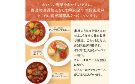 ごろっと具材の洋食スープセット 3種6個（ポトフ・スープカレー・ポークシチュー）　レトルト 国産 常温保存 惣菜 ローリングストック レンジアップ