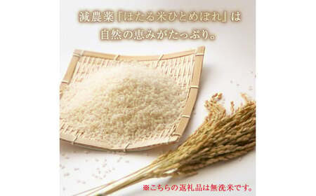 【予約受付開始】令和5年産　<無洗米>宮城県産　特別栽培米　ほたる米　ひとめぼれ　10kg 