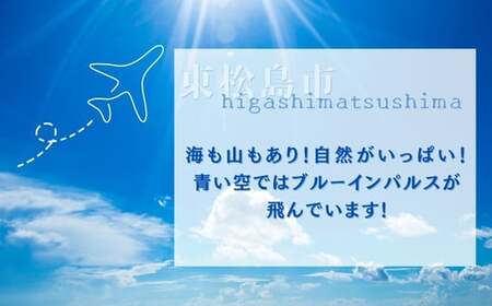 牛タンサガリ角切りステーキ1kg（500g×2パック）牛タン 塩味 小分け 牛たん サガリ ステーキ 牛肉 焼肉 バーベキュー BBQ おつまみ 冷凍 カット 【 牛タン 宮城 人気牛タン おすすめ牛タン 東松島 お取り寄せ グルメ 牛タン 牛肉 タン 牛タン 】