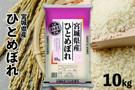 (09510)【令和6年産】宮城県産ひとめぼれ10kg
